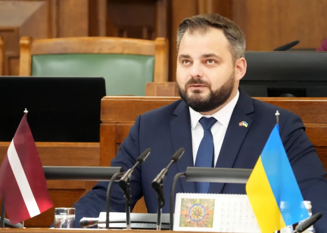 JV politiķis atbalsta diskusiju par nelielu zādzību administratīvu sodīšanu