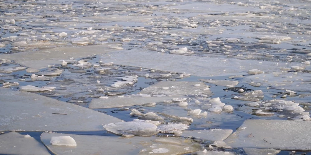 Иллюстративное фото.