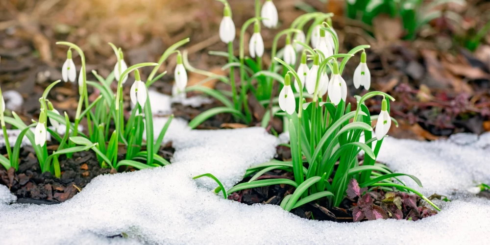 Иллюстративное фото.