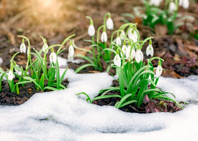 Метеорологическая весна уже началась: впереди теплая и сухая погода
