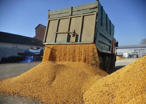 2025. gadā no  okupētajām Ukrainas teritorijām tika eksportēti vairāk nekā 2 miljoni tonnu graudu. 