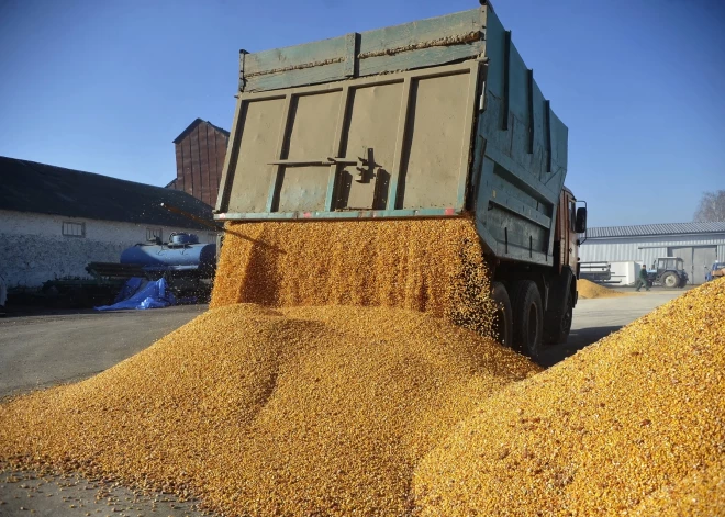 Baltkrievija zog Ukrainas lauksaimniecības produkciju no Krievijas okupētajām teritorijām un tirgo to ar marķējumu "Ražots Baltkrievijā"