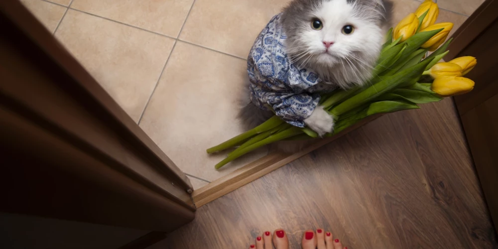 Иллюстративное фото.