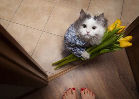 Иллюстративное фото.