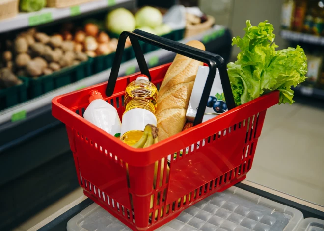 Латвия делает шаг, на который Эстония не решилась: чему именно завидуют наши соседи?