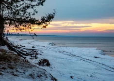 Балтийское море - одно из самых загрязненных в мире. Эксперт объясняет ситуацию