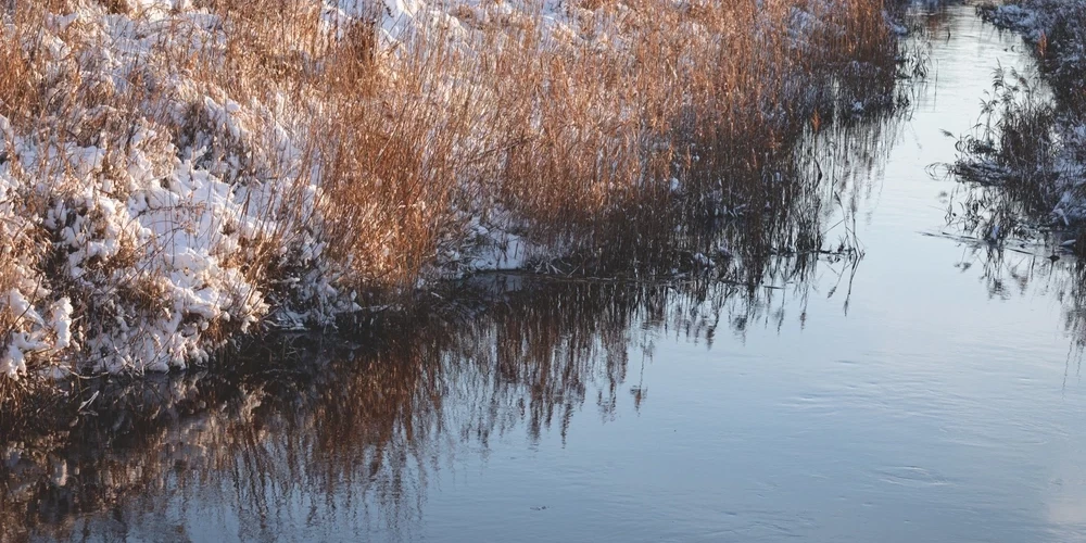 Piemājas grāvī noslīkusi sieviete.