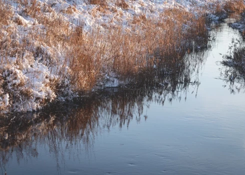Piemājas grāvī noslīkusi sieviete.