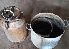 FOTO: Daugavpilī un Augšdaugavas novadā vairākās dzīvesvietās un personu somās atrastas narkotiskās vielas