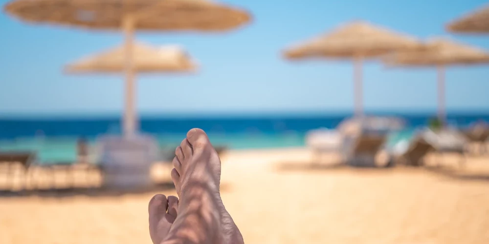 Женщина лежала на шезлонге на пляже, когда случайно испугала животное и получила «очень незначительную» царапину.