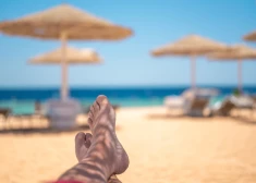 Британка умерла от бешенства после царапины на пляже во время отдыха