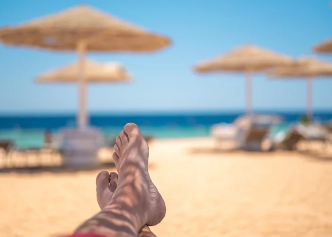 Британка умерла от бешенства после царапины на пляже во время отдыха