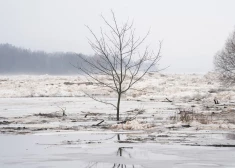 Скользкие дороги утром и до +10 градусов днем: прогноз на пятницу