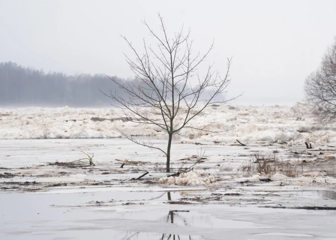 Скользкие дороги утром и до +10 градусов днем: прогноз на пятницу