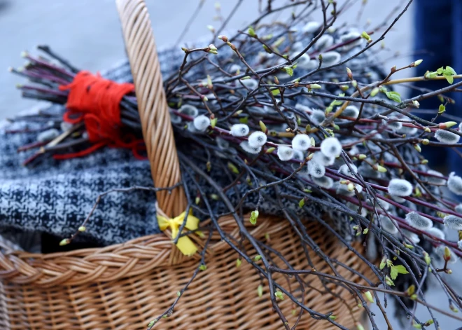 Jau nākamnedēļ varētu iestāties pavasarīgs siltumiņš