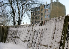 "То, что видели глаза, мозг не мог принять". Соседка - о страшной ночи, когда в Риге сын сбросил мать с балкона