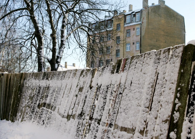 "То, что видели глаза, мозг не мог принять". Соседка - о страшной ночи, когда в Риге сын сбросил мать с балкона