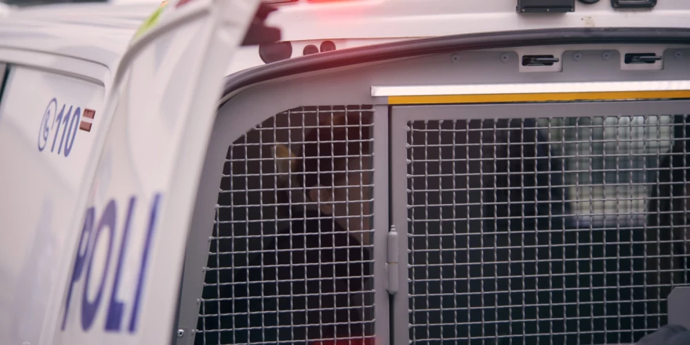 Atrasta persona, kas varētu būt sašāvusi divas sievietes Rīgā.