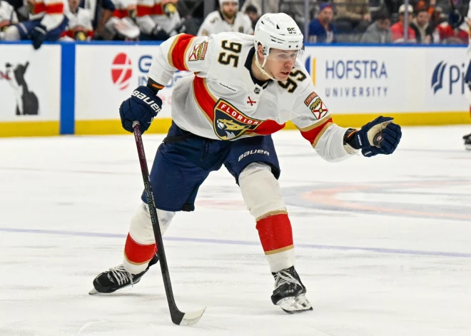 “Panthers” nosūta Vilmani uz AHL fārmklubu “Checkers”