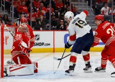 Balinska "Panthers"  pieveica Detroitas "Red Wings", pārtraucot četru zaudējumu sēriju