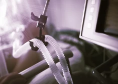 1000 евро за право умереть: пожилая пара записалась на ассистированную смерть в Эстонии