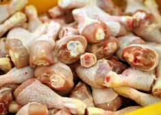 В курице нашли сальмонеллу: предупреждение для покупателей в Латвии