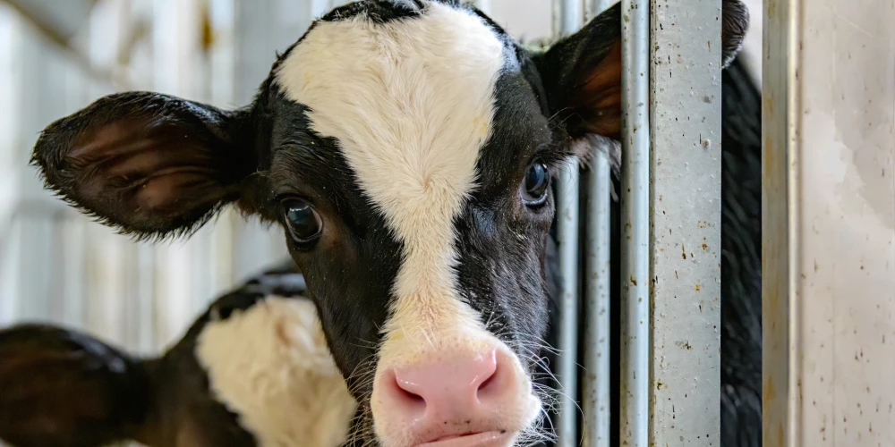 Иллюстративное фото.