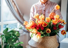 Šonedēļ populārākais vārds – Aija