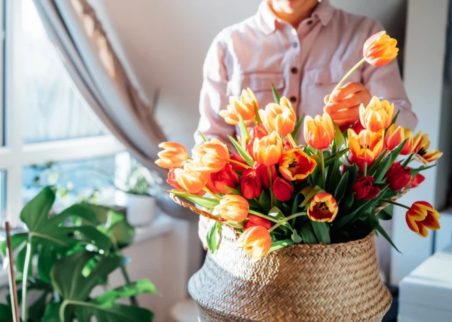 Šonedēļ populārākais vārds – Aija