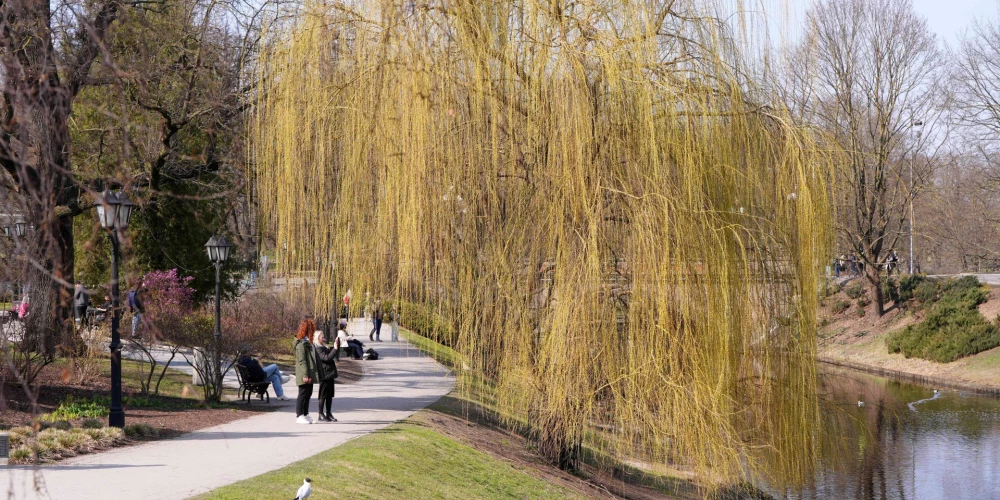 В Латвии зафиксировали самое теплое 9 марта за всю историю наблюдений.