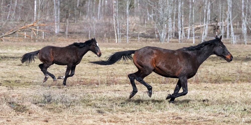Иллюстративное фото.