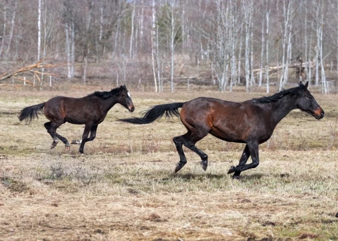 Иллюстративное фото.