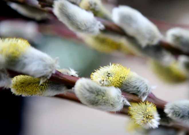 До +16! Во вторник будет солнечно и тепло