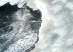 Aculiecinieki novērš traģēdiju un izglābj Daugavā ielūzušu bērnu vēl pirms glābēju ierašanās