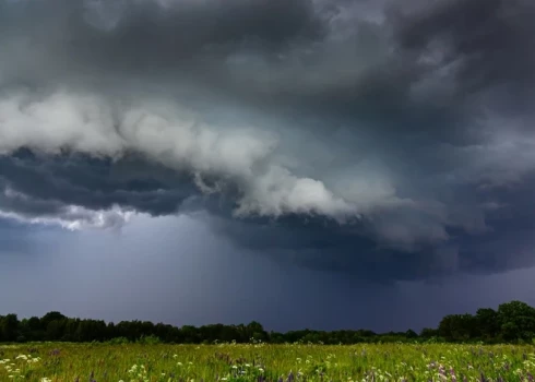 Весна и начало лета в Латвии могут быть теплее обычного, но погода готовит и неприятный сюрприз.