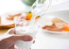 Jauns pētījums liecina, ka piena dzeršana pēc treniņa palīdz stiprināt kaulus vecumdienās