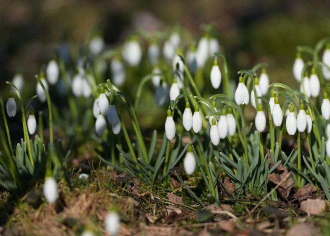 Trešdien Latvijā daļēji mākoņains, vietām gaidāms īslaicīgs lietus