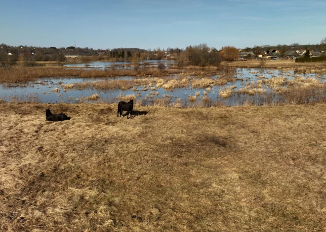 В среду ожидается небольшой дождь, потеплеет до +13 градусов