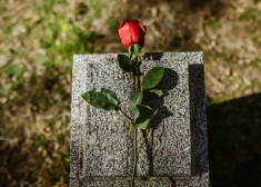 Polijā atrisināta mistērija ar zārku, kas "nokritis no debesīm"