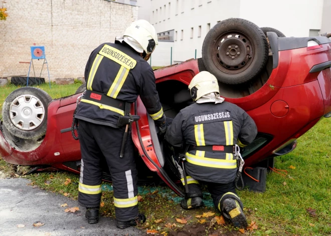 327 ДТП с участием россиян: озвучена статистика аварий среди граждан третьих стран