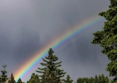 Trešdien vietām gaidāms īslaicīgs lietus. Gaiss iesils līdz +14 grādiem