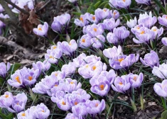 Синоптики обещают теплый день - температура превысит мартовские рекорды