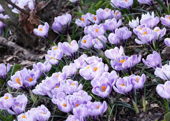 Синоптики обещают теплый день - температура превысит мартовские рекорды