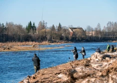 Весна ускоряется: в Латвии может потеплеть до +17 уже в выходные