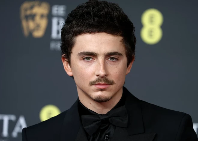 Тимоти Шаламе массово "отменяют" и могут оставить без "Оскара" - что такого сказал недавний всеобщий любимчик?