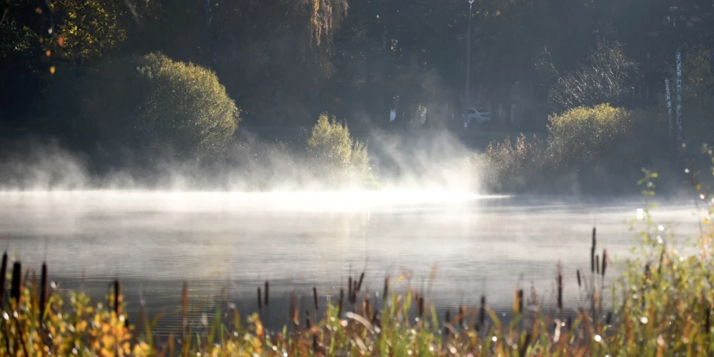 Иллюстративное фото.