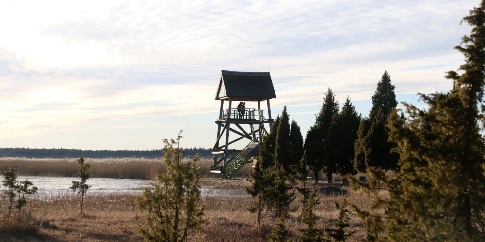"Klimata kurss" – kampaņa sabiedrības izpratnes veicināšanai par klimatneitralitāti un zaļo enerģiju.