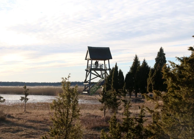 "Klimata kurss" – kampaņa sabiedrības izpratnes veicināšanai par klimatneitralitāti un zaļo enerģiju