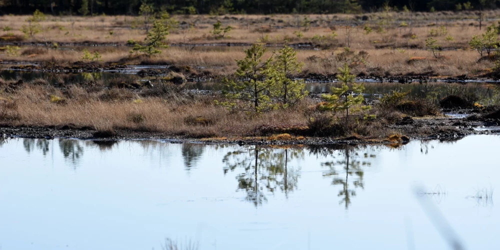 Ceturtdien Latvijā brīžiem līs. 