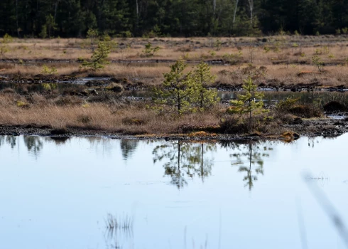 Ceturtdien Latvijā brīžiem līs. 